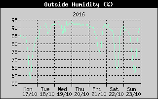 Outside Humidity History